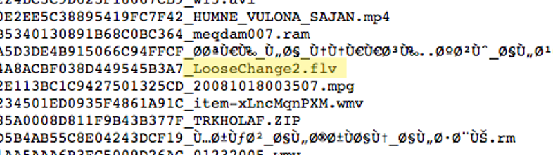 Screenshot of the log containing the files on Osama bin Laden’s computer, including what appears to be the film Loose Change, a September 11th conspiracy movie
